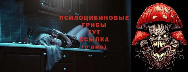 соль курить ск Горняк
