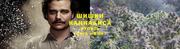 mdpv Гусиноозёрск